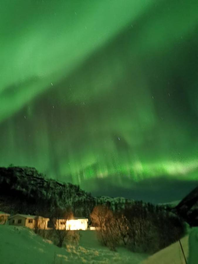 Skjellbogen Hyttegrend Sortland Exterior foto