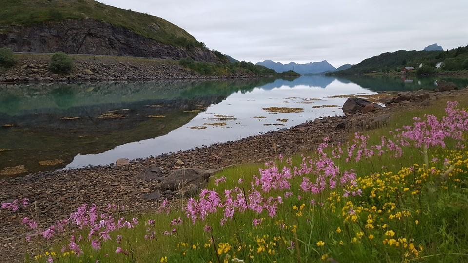 Skjellbogen Hyttegrend Sortland Exterior foto