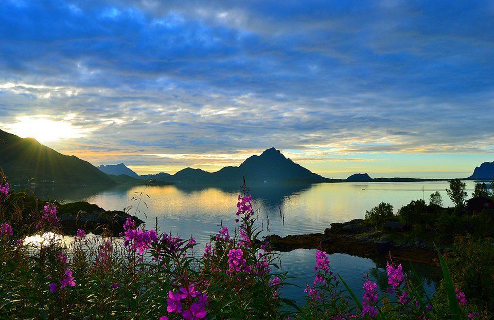 Skjellbogen Hyttegrend Sortland Exterior foto