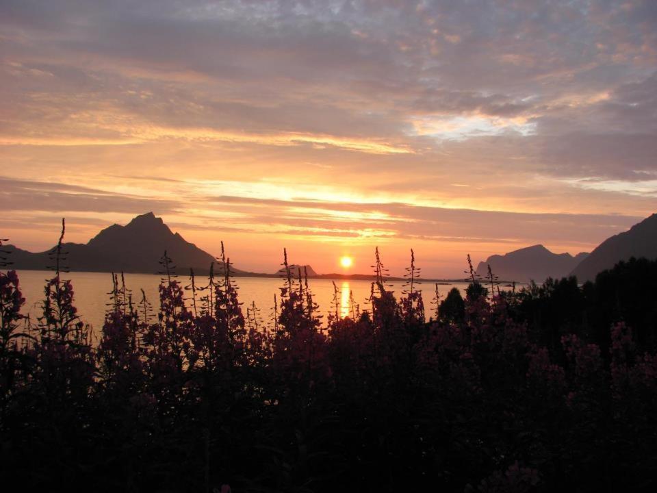 Skjellbogen Hyttegrend Sortland Exterior foto